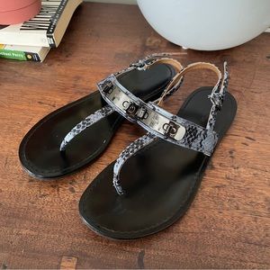 Coach Gracie Sandals Blue Snakeskin Black Hardware